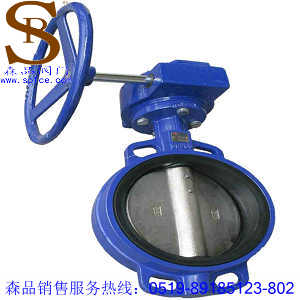 D371X-16蝸輪蝶閥<div   id=